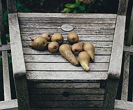 農(nóng)業(yè),特寫,美味