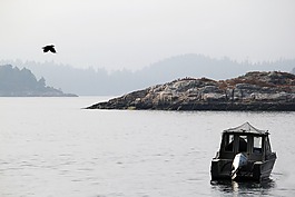 mehran babaee,船,海洋