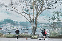 大叻市,聯(lián)板,你們女士們