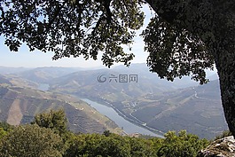 鲜花,山,杜罗