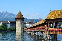 河,花卉,山