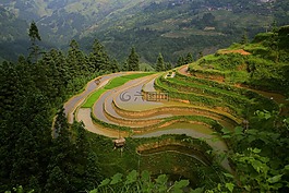 风景,梯田,大自然