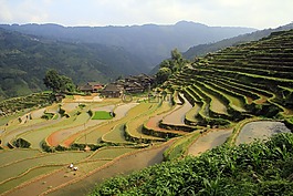 风景,梯田,大自然