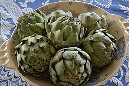 朝鲜蓟,蔬菜,规模