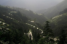 风景,梯田,大自然