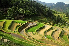 风景,梯田,大自然