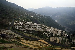 风景,梯田,大自然