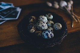 模糊,雞蛋,食品