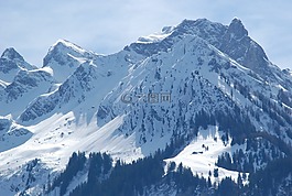 雪,山,冬天