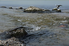 基姆湖,chieming,巴伐利亚