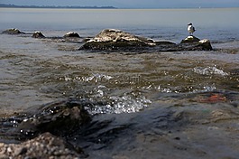 基姆湖,chieming,巴伐利亚