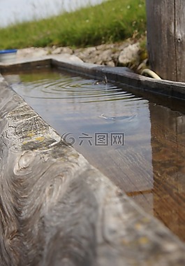 藥水,動物,四方