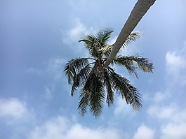 亞洲,泰國,假期