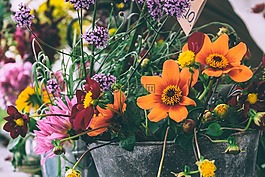 盛開(kāi),開(kāi)花,花束