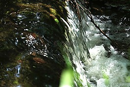 水,瀑布,過(guò)獨(dú)身生活