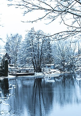 冬天,雪,银行