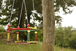 擺動,樹,公園