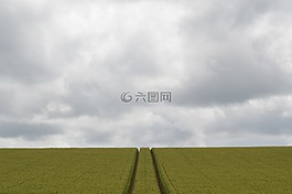 字段,小麥,場(chǎng)