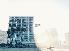 建設(shè),立面,棕櫚