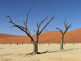 納米比亞,非洲,sossusvlei