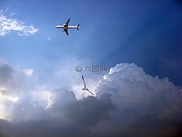 飛機,航空,機場