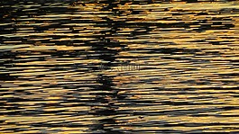 水,lichtspiel,日落