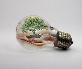 燈泡,自然,ecologycurrent