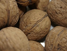 核桃,堅果,新鮮