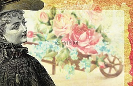 背景,玫瑰,鮮花