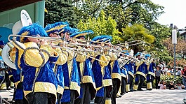 音樂(lè),蒙特勒,瑞士