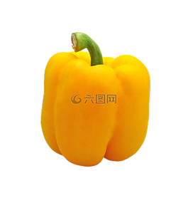 胡椒,黃色,鐘