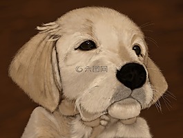 狗,小狗,數字藝術作品