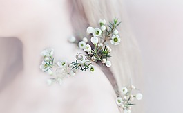 花,鮮花,白