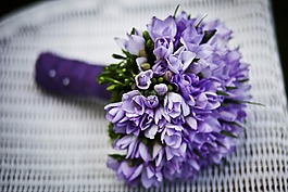 婚姻,花卉,紫色小花