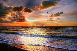 太陽,海灘,海