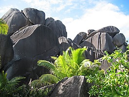 塞舌尔,岩层,热带