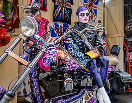 摩托車,自行車,人類發(fā)展報告