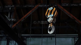 行動,成人,運動員