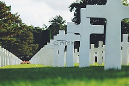 公墓,交叉,草