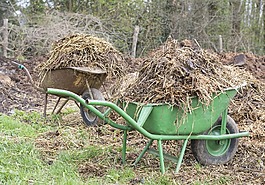 肥料,獨輪車,手推車