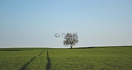自然,景觀,孤獨(dú)