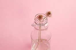 玻璃,玻璃,鮮花