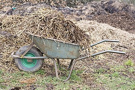 肥料,獨輪車,手推車