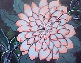 大麗花,粉紅色,鮮花