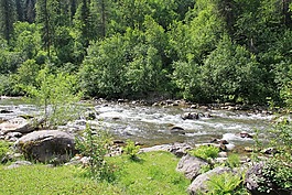 山區(qū)河流,阿爾泰山,河