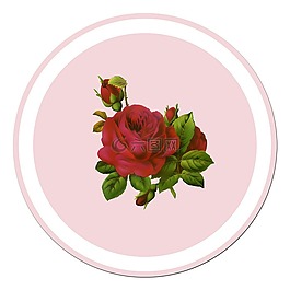 玫瑰,紅玫瑰,不干膠標(biāo)簽
