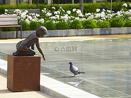 源,鳥,花園