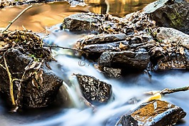 河,過獨身生活,水