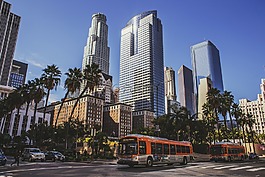 城市,建筑物,摩天大樓