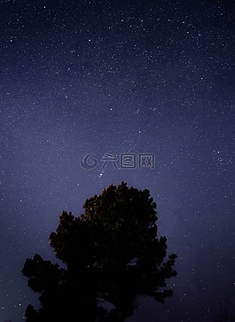 星星,夜,天空